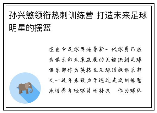孙兴慜领衔热刺训练营 打造未来足球明星的摇篮